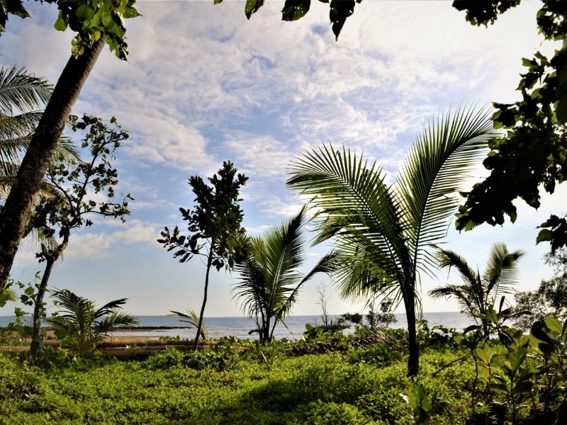 Asia_Pacific