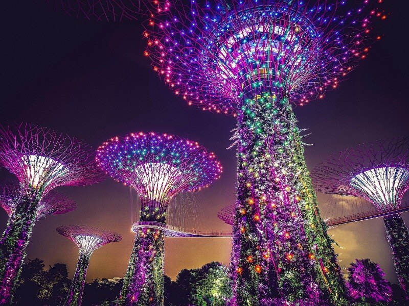 Gardens_By_The_Bay_At_Night