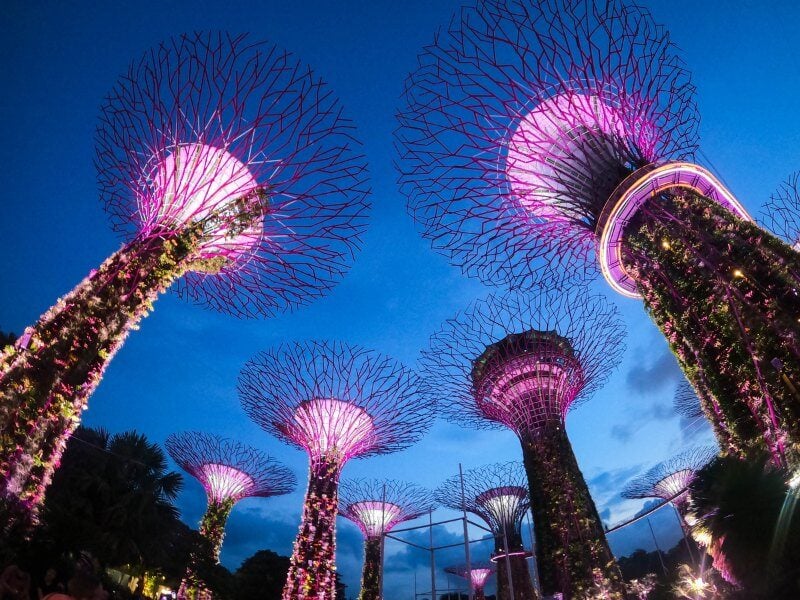 Lighted-Supertree-Grove