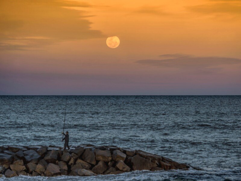 Marine_Landcape