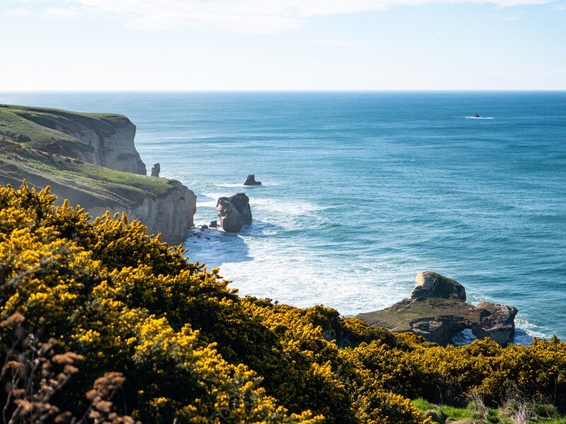 View_of_Mountains_in_New_Zealand