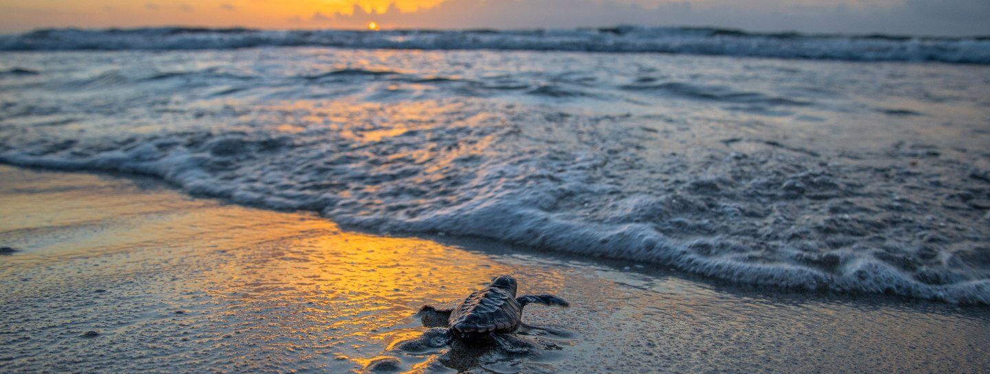 Expedition to Alaska