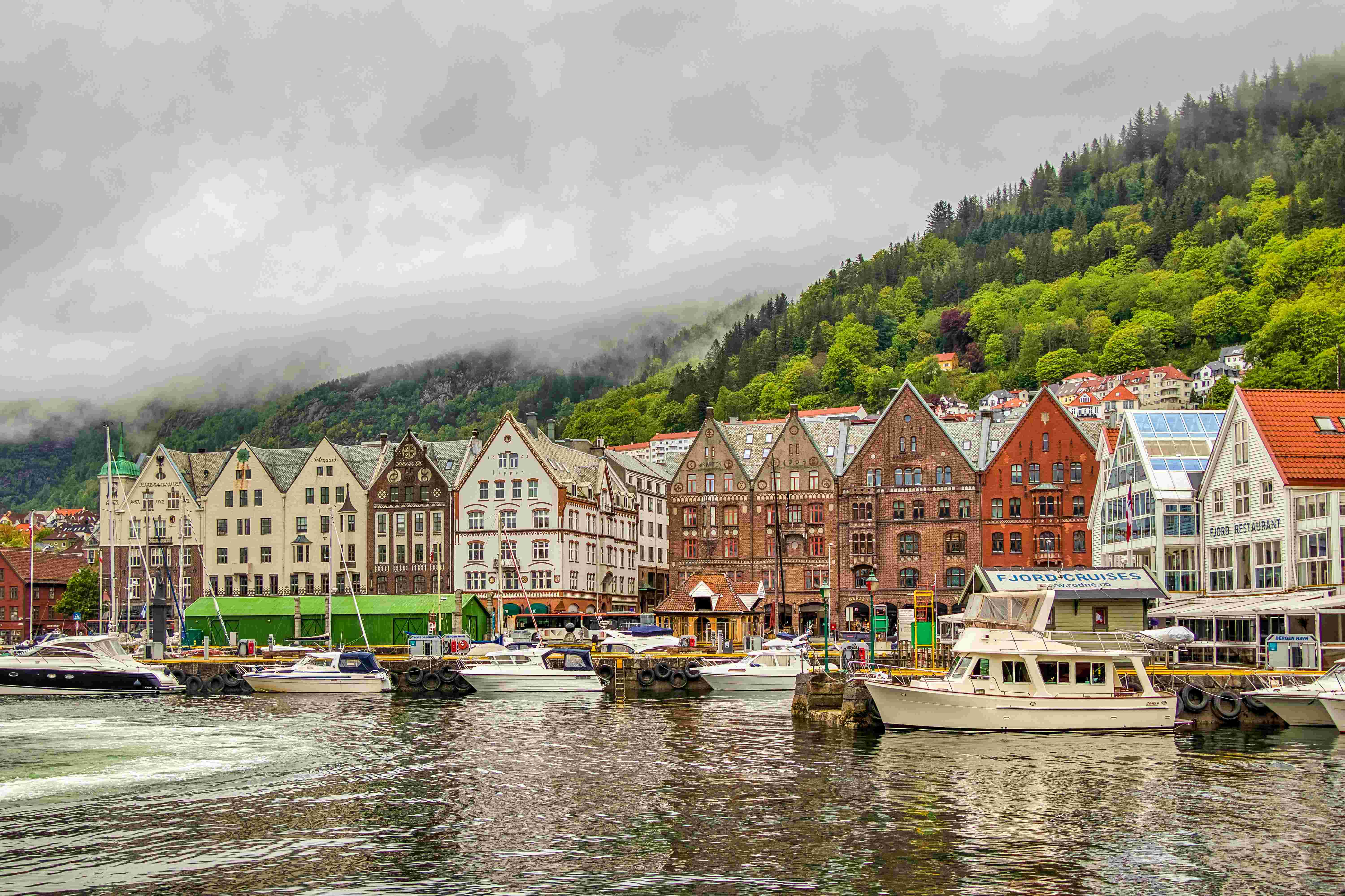 Boats and houses in the dock